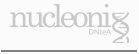 Nucleonix_Logo