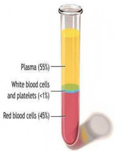 Plasma